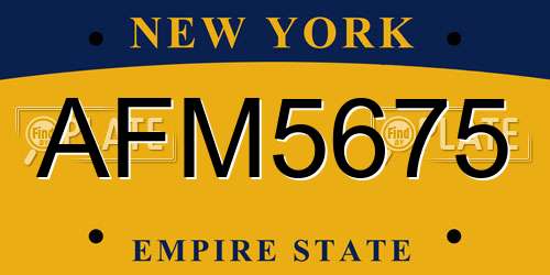 AFM5675 New York License Plate
