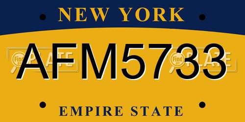 AFM5733 New York License Plate