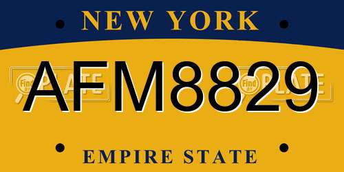 AFM8829 New York License Plate