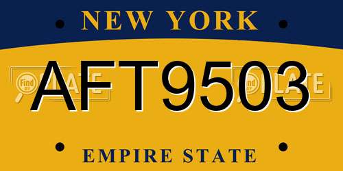 AFT9503 New York License Plate