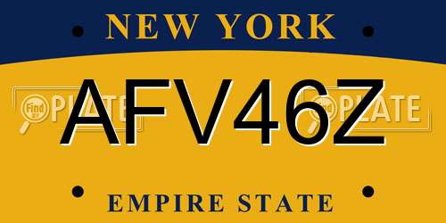 AFV46Z New York License Plate