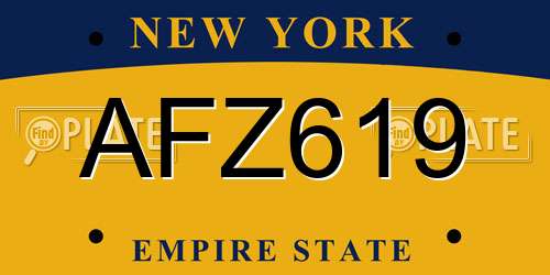 AFZ619 New York License Plate