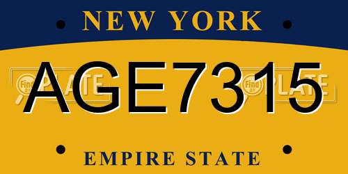 AGE7315 New York License Plate