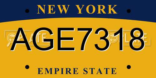 AGE7318 New York License Plate