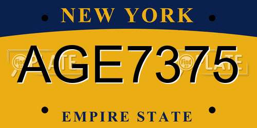 AGE7375 New York License Plate