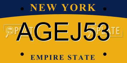 AGEJ53 New York License Plate