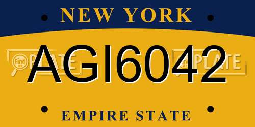 AGI6042 New York License Plate