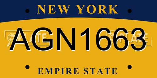 AGN1663 New York License Plate
