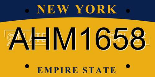 AHM1658 New York License Plate