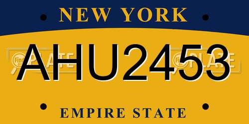 AHU2453 New York License Plate
