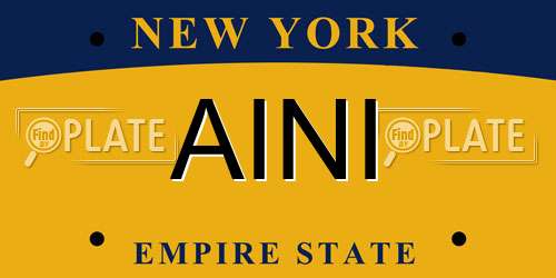 AINI New York License Plate