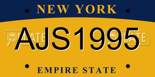 AJS1995 New York License Plate