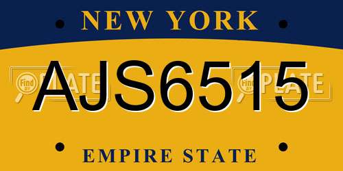 AJS6515 New York License Plate