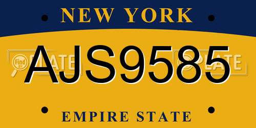 AJS9585 New York License Plate