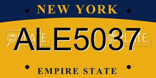ALE5037 New York License Plate