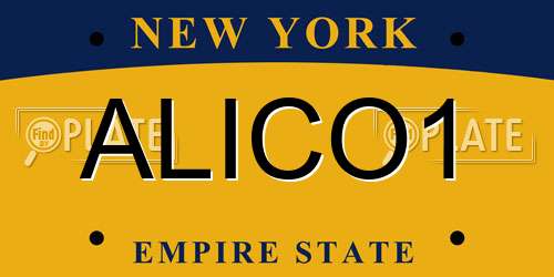 ALICO1 New York License Plate