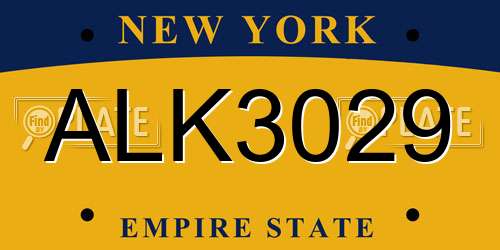 ALK3029 New York License Plate