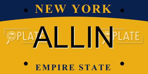 ALLIN New York License Plate
