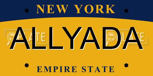 ALLYADA New York License Plate