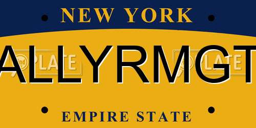 ALLYRMGT New York License Plate