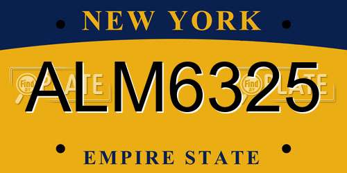 ALM6325 New York License Plate