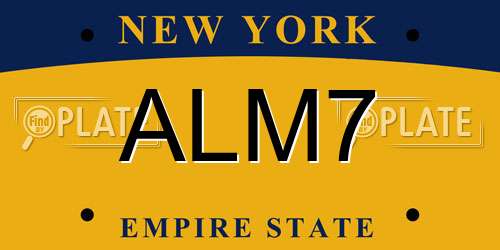 ALM7 New York License Plate