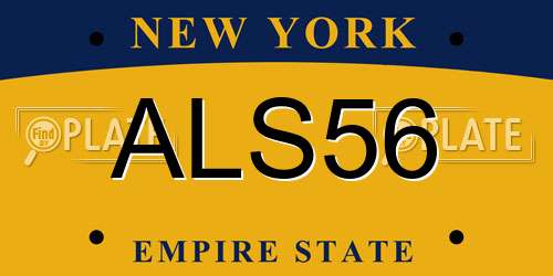 ALS56 New York License Plate
