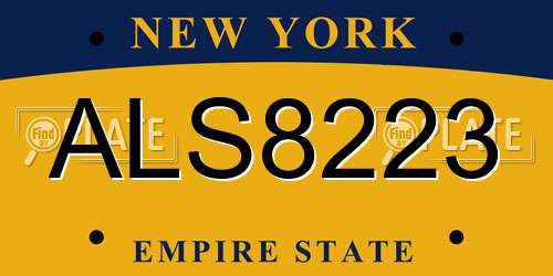 ALS8223 New York License Plate