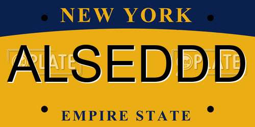 ALSEDDD New York License Plate