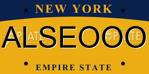 ALSEOOO New York License Plate