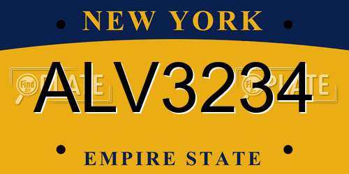 ALV3234 New York License Plate
