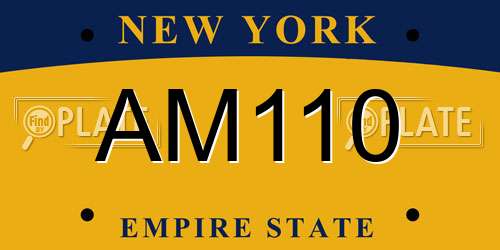 AM110 New York License Plate