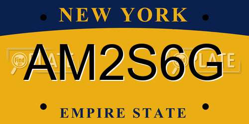 AM2S6G New York License Plate