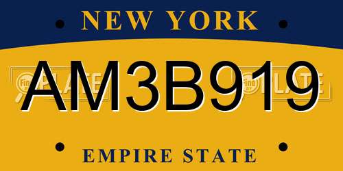 AM3B919 New York License Plate
