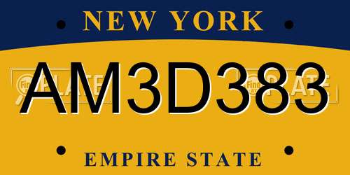 AM3D383 New York License Plate
