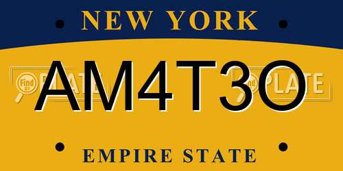 AM4T3O New York License Plate