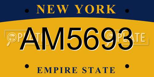 AM5693 New York License Plate