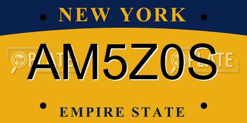 AM5Z0S New York License Plate