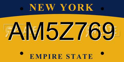 AM5Z769 New York License Plate