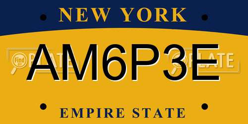 AM6P3E New York License Plate