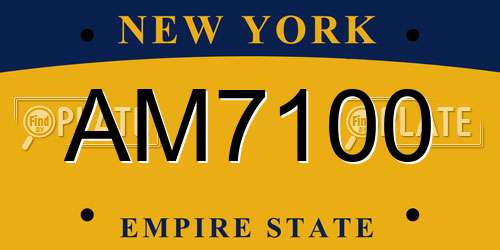 AM7100 New York License Plate