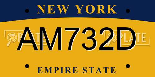 AM732D New York License Plate