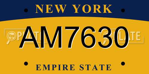 AM7630 New York License Plate