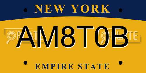 AM8T0B New York License Plate