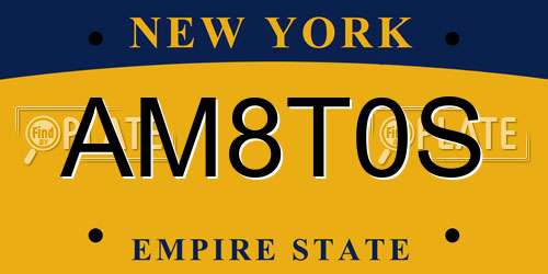 AM8T0S New York License Plate