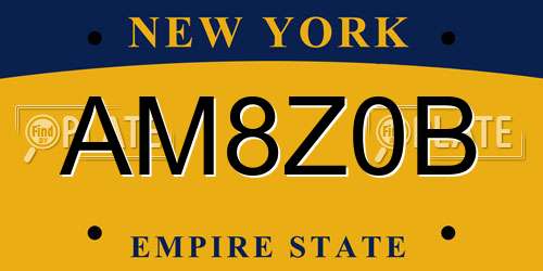 AM8Z0B New York License Plate