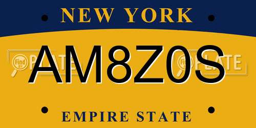 AM8Z0S New York License Plate