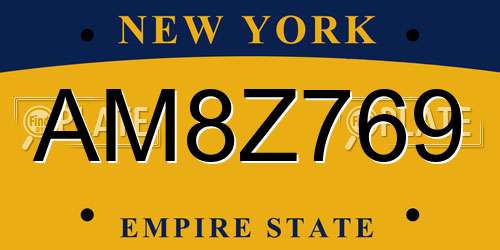 AM8Z769 New York License Plate