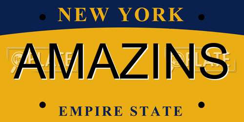 AMAZINS New York License Plate