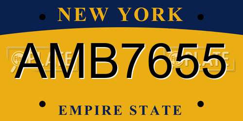 AMB7655 New York License Plate